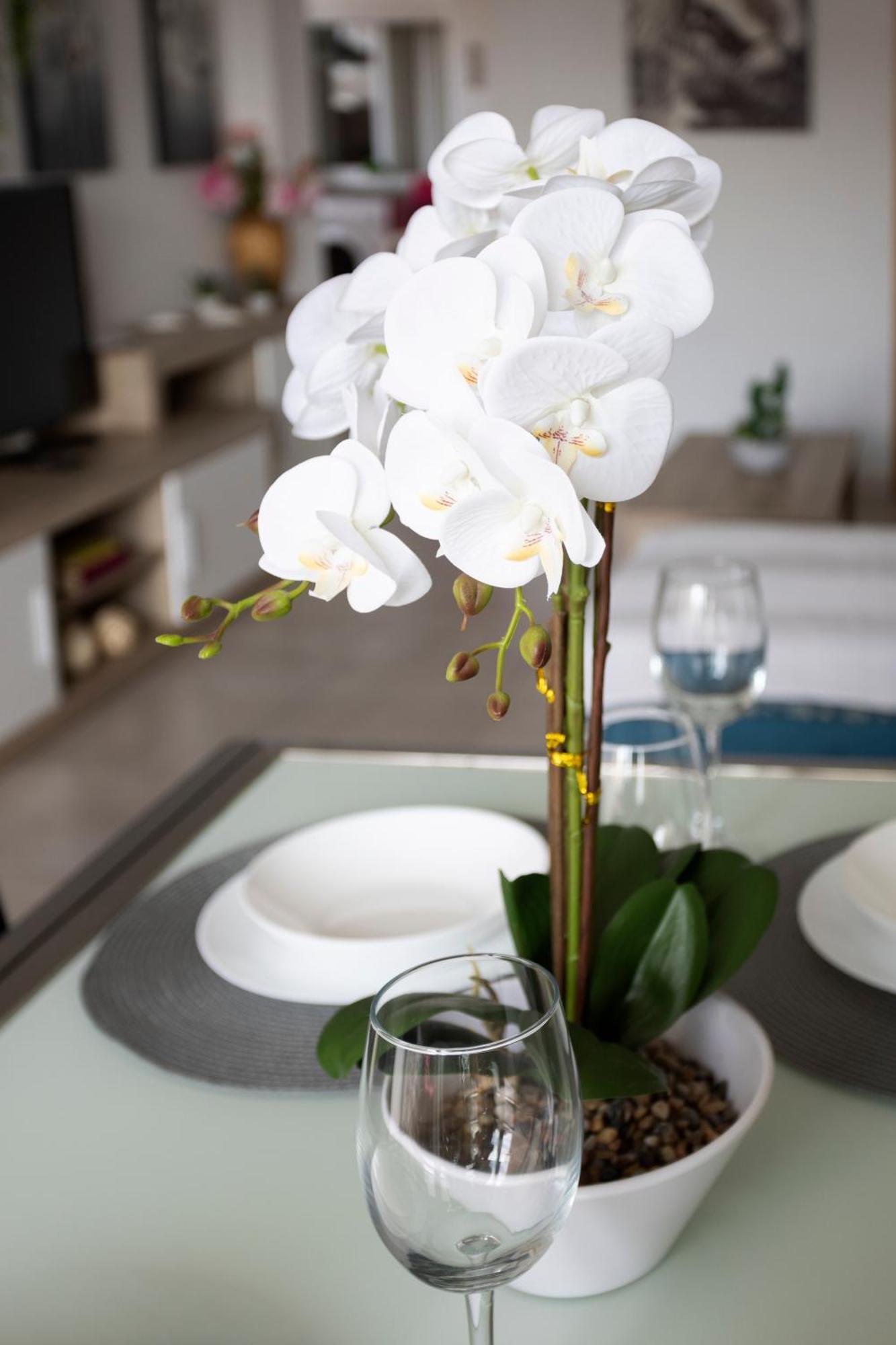 Apartamento Rosa Fuengirola Exterior foto